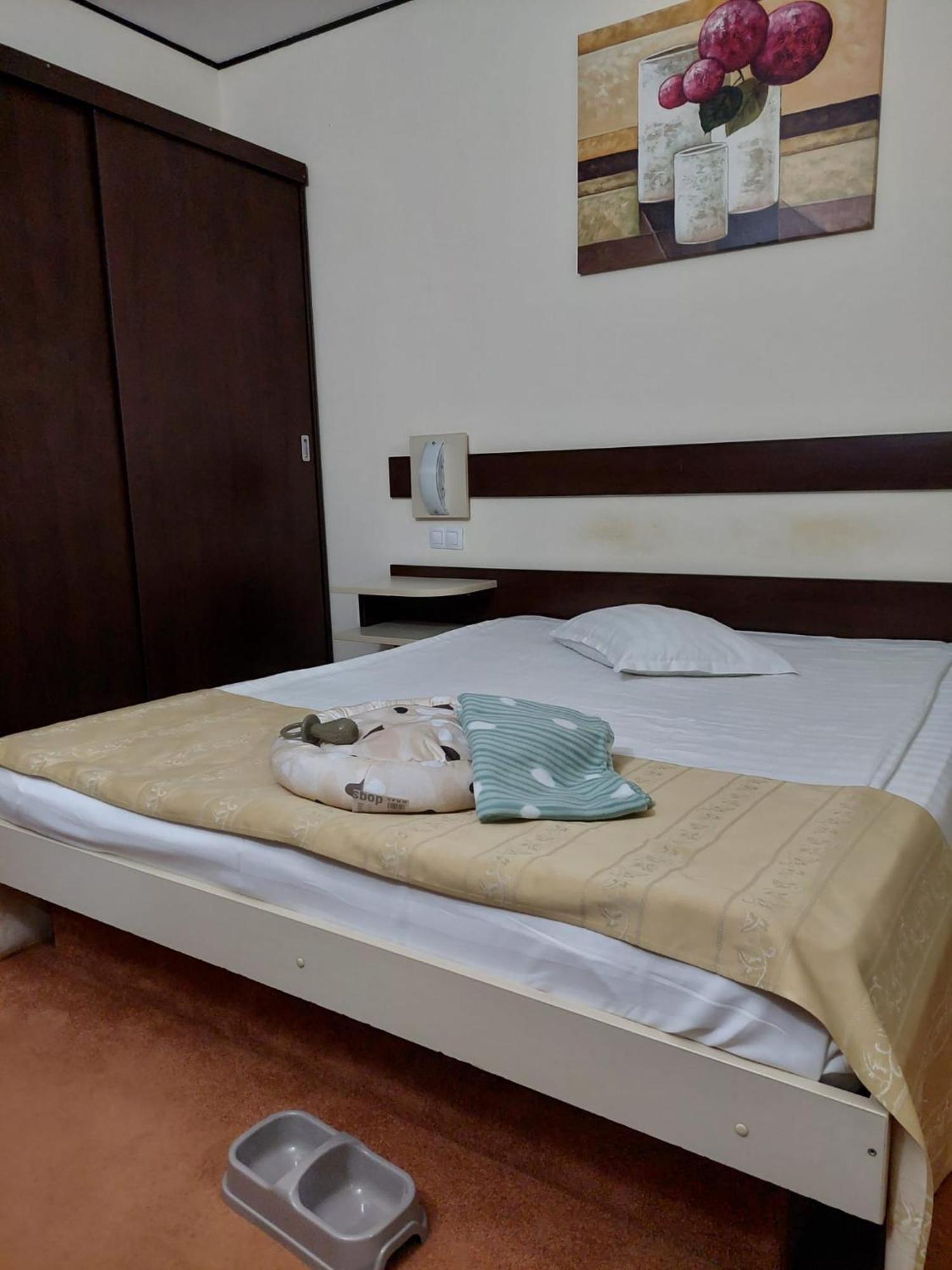Hotel Rapsodia City Center Botoşani Dış mekan fotoğraf