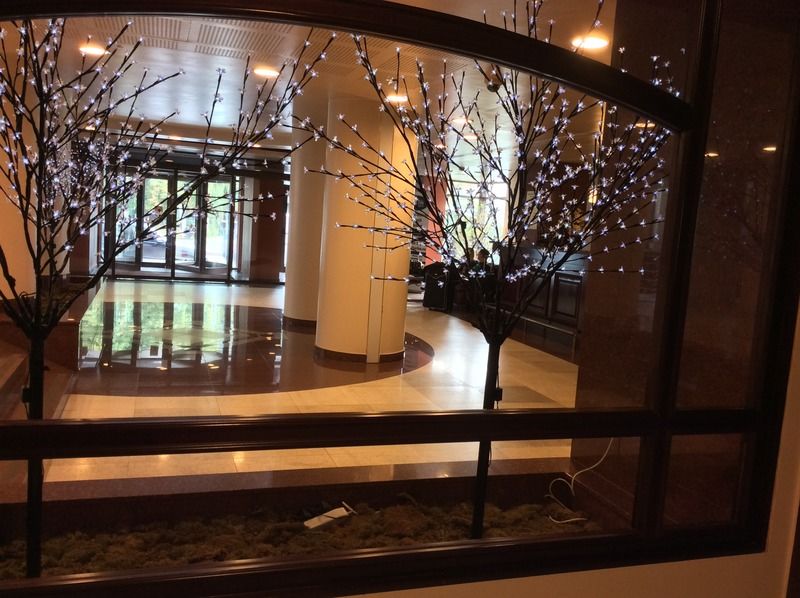Hotel Rapsodia City Center Botoşani Dış mekan fotoğraf
